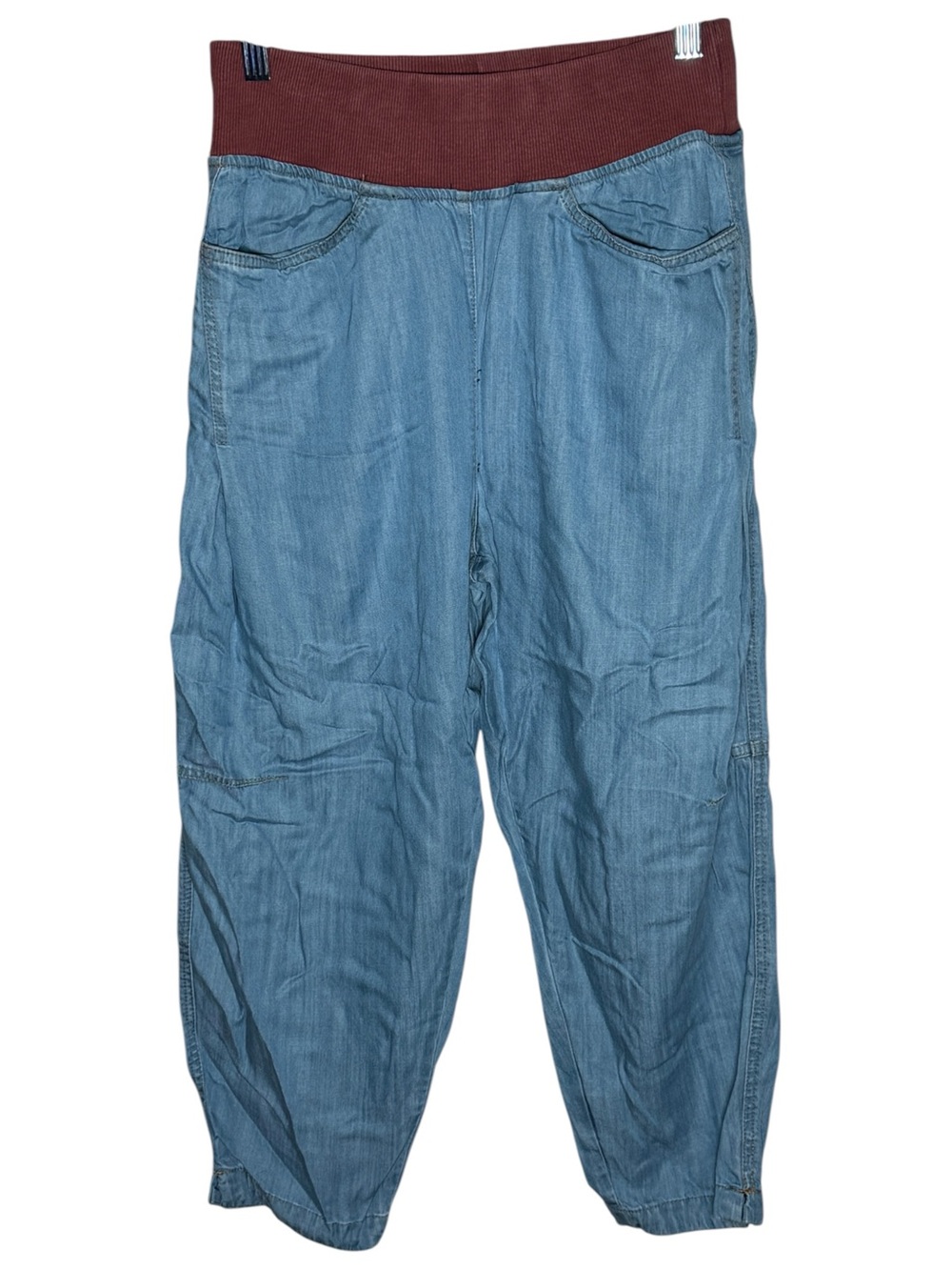 Citron Bleu Chambray Tencel Jogger Pants